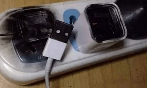 手機(jī)充電器不用時(shí) 拔還是不拔？真相在這里